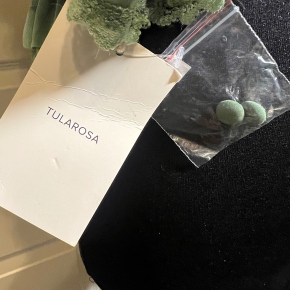 TULAROSA Kaia Top in Mint, Women's Size Large, NWT - Picture 6 of 14